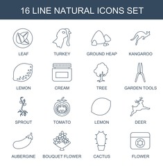 natural icons