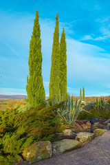 Autumn in Tuscany landscape in Italy