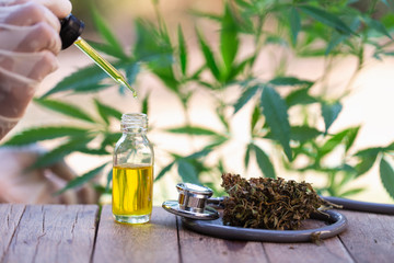 Hemp oil, Marijuana oil bottle, cannabis oil extracts in jars, medical marijuana, CBD oil pipette.