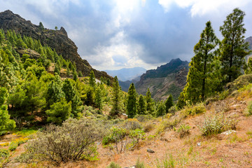Fototapeta na wymiar Summer landscape of mountains in Gran Canaria 