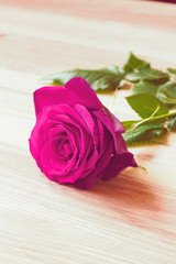 Bright roses on the table　テーブルの上の鮮やかなバラ