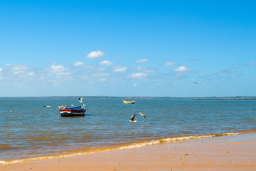 Fototapeta na wymiar Boats of fishermen on the Indian Ocean in Maputo Mozambique Africa
