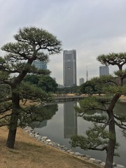 Tokyo Hamarikyu Gardens