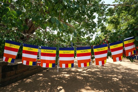 International Buddhist flags, Sacred City of Anuradhapura, North Central Province, Sri Lanka, Asia