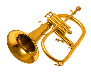 Obraz na płótnie Canvas Flugelhorn isolated on white. trumpet.