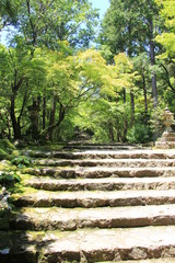 石灯篭のある長い石階段(高知県)