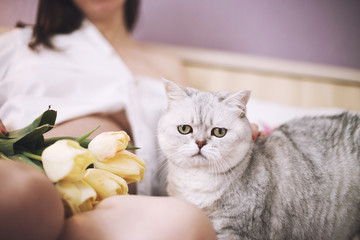 pregnant woman with a cat. cat is smelling the flowers. Scottish straight cat
