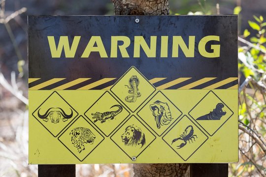Warning sign displaying dangerous animals, Manyeleti Game Reserve, South Africa, Africa