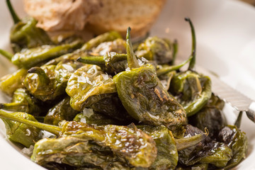 Green Padron Peppers with Crisp Bread in Rustic White Plate. Pimientos de Padrón.