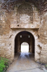 San Francesco gate in the Medici fortress of Poggio Imperiale, Poggibonsi, Tuscany, Italy