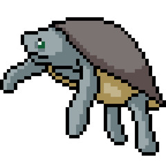 Fototapeta premium vector pixel art turtle