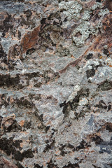 the texture of wet dark brown stone with moss. close-up of rock.