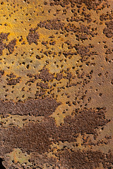 Rusted sheet of metal and grunge texture. Corrosion and oxidized background. 