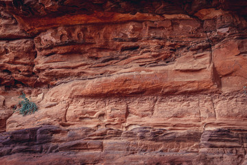 Walls covered with ancients drawings in Khazali gorge in famous Wadi Rum - Valley of Sand in southern Jordan