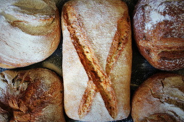 Assortment of fresh bread on black background. Concept of cooking, successful businessman or start up.