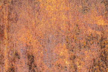 Rusted sheet of metal and grunge texture. Corrosion and oxidized background. 