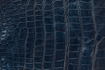 Glossy crocodile leather texture