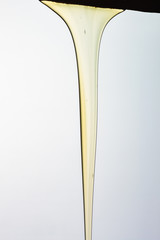 Pouring honey or golden liquid on white background.
