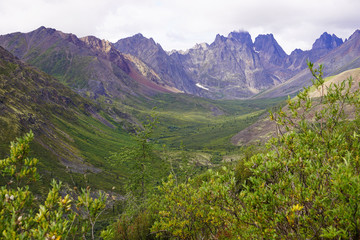 beautiful view in Grizzly Lake trail in Yukon