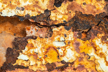 Rusted sheet of metal and grunge texture. Corrosion and oxidized background. 