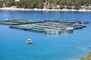 Fototapeta na wymiar View of fish farm with fish cages and small boat
