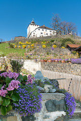 Werdenberg, SG / Switzerland - March 31, 2019: historic Werdenberg castle with colorful spring flowers in the foreground