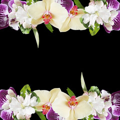 Obraz na płótnie Canvas Beautiful floral background of orchids and Apple blossom. Isolated 