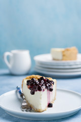 Cheesecake slice. Berry topping. Close view. Copy space.