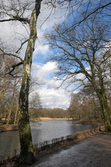 volkspark jungfernheide