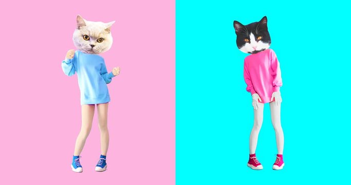 Animation minimal art. Two cute cats dancing
