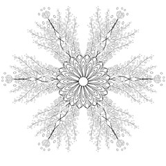 Black and white ornamental fantastic flowers, magic composition. Monochrome Pattern: Floral Texture, Adult Coloring Book page.