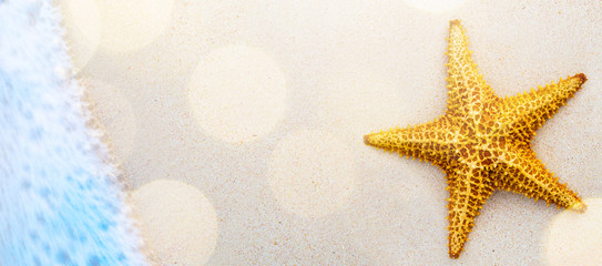 Fototapeta na wymiar Art seashells on seashore - beach holiday background