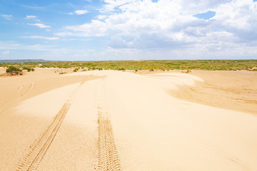 Fototapeta na wymiar Mescalero Sands Recreation Area, New Mexico, USA