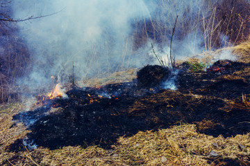 Black spots and smoke from burnt dry grass are environmentally hazardous