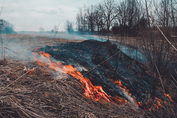 Let's say stop burning dry grass, it is dangerous