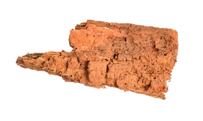 Rotten wood of Salix alba or white willow For beekeeping. Isolated on white background