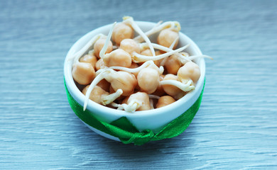 Sprouted grains of chickpea lie in a round plate. A healthy lifestyle offers the use of cereal sprouts. 