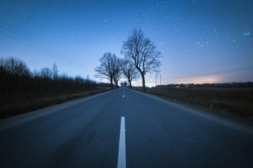 Fototapeta premium Asphalt road with rare bare trees at dark windless starry night