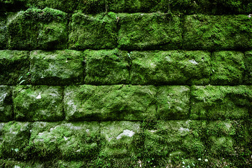 moss rock wall