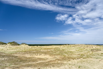 Sandy dunes covered with grass. Curonian Spit, Russia