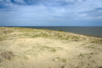 Fototapeta na wymiar Sandy dunes covered with grass. Curonian Spit, Russia