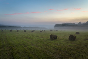 Stacks of hay on a green field in the early misty morning