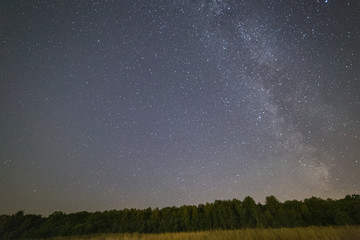 Milky Way galaxy over the green forest