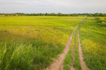 Fototapeta na wymiar Dirt road runs far away in the green field in the evening