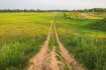 Fototapeta na wymiar Dirt road runs far away in the green field in the evening