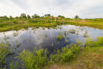 Calm and warm spring evening on the small lake in the field