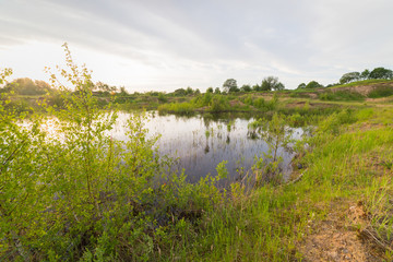 Calm and warm spring evening on the small lake in the field
