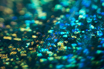 Sparkling blue green snake skin. Bokeh abstract background. Defocused multicolor glitter glow.