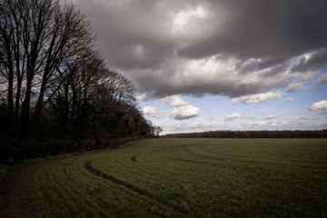Fototapeta na wymiar landscape with fields and clouds