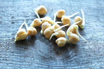 Sprouted chickpea grains on a wooden board. A healthy lifestyle offers the use of cereal sprouts. Selective focus 